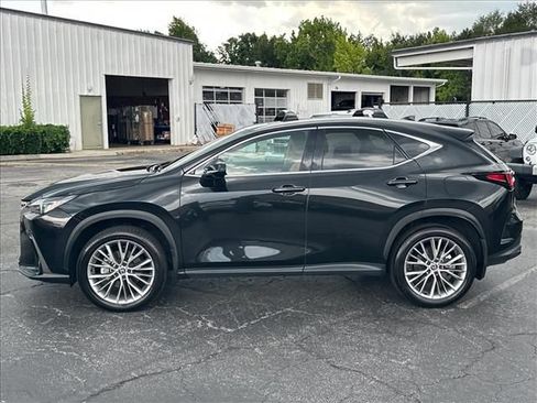 Used 2025 Lexus NX 350 AWD w/ Cold Area Package image 7