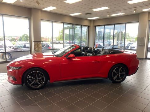 Used 2025 Ford Mustang Premium RWD image 4