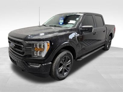 Used 2023 Ford F150 XLT w/ Equipment Group 302A High