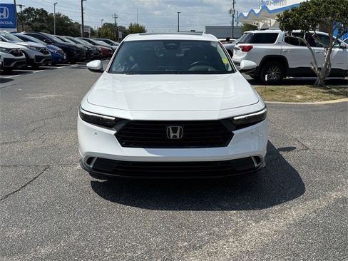 Used 2024 Honda Accord Touring image 3