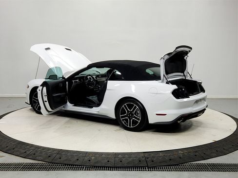 Used 2021 Ford Mustang Premium image 13