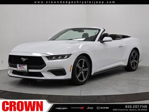 Used 2024 Ford Mustang EcoBoost image 3