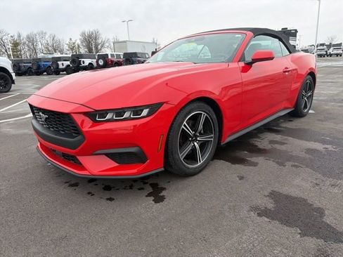 Used 2024 Ford Mustang Premium RWD image 14