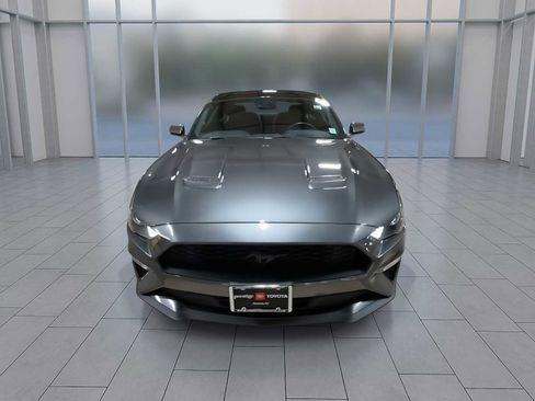 Used 2019 Ford Mustang Coupe w/ Equipment Group 101A image 3