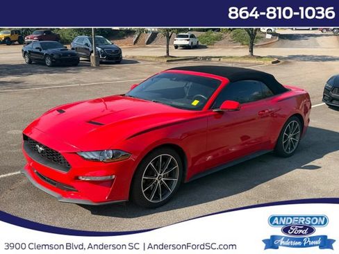 Used 2019 Ford Mustang Premium w/ Equipment Group 201A RWD image 1