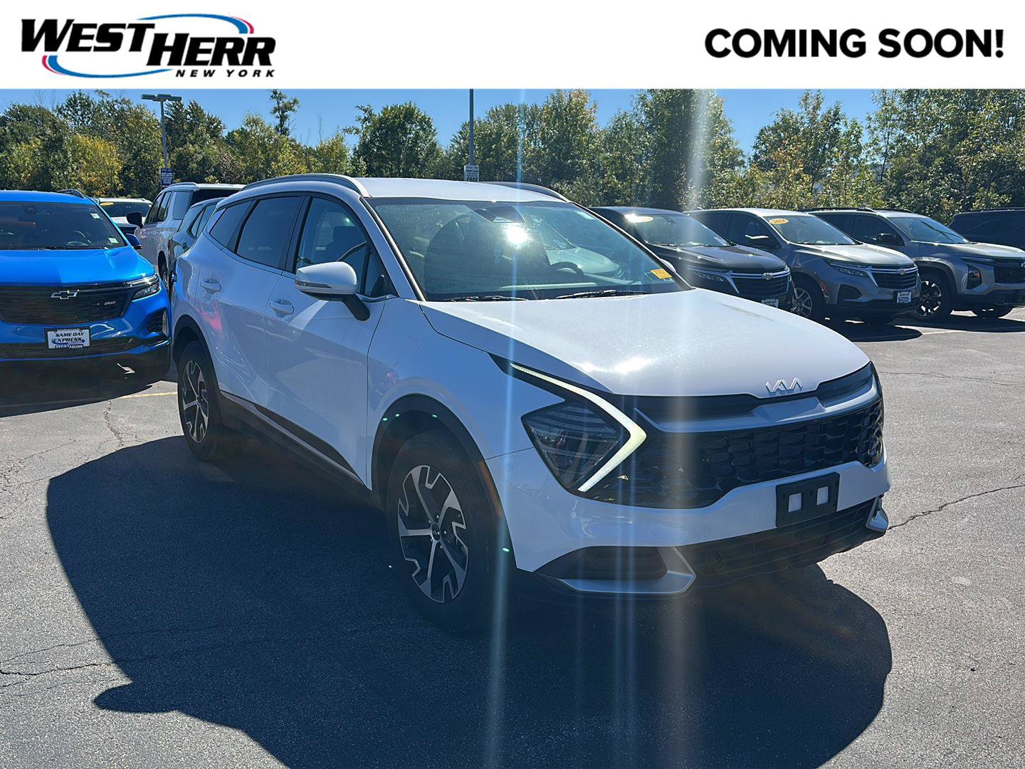Used 2024 Kia Sportage EX AWD/4WD image 1
