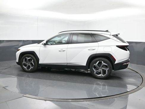 Used 2024 Hyundai Tucson Limited image 3