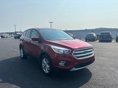 Used 2019 Ford Escape SE AWD/4WD image 1