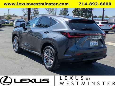 Used 2025 Lexus NX 350h NX 350h Premium w/ Cold Area Package image 10