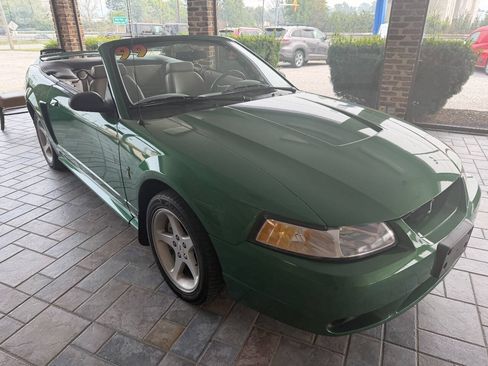 Used 1999 Ford Mustang Cobra RWD image 3