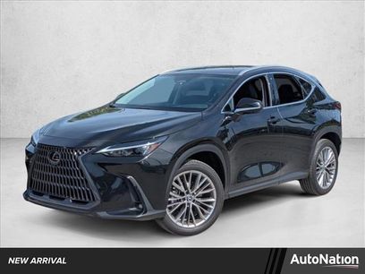 Used 2025 Lexus NX 350 AWD w/ Cold Area Package