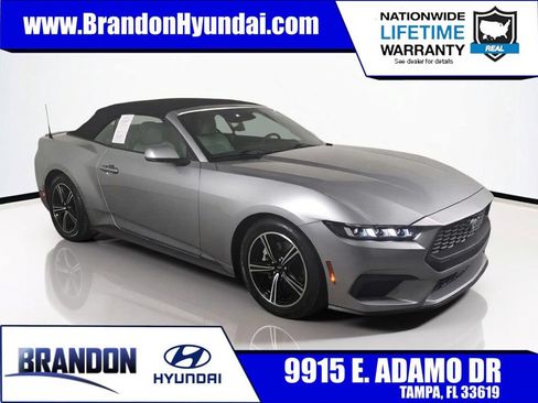 Used 2024 Ford Mustang Premium RWD image 1