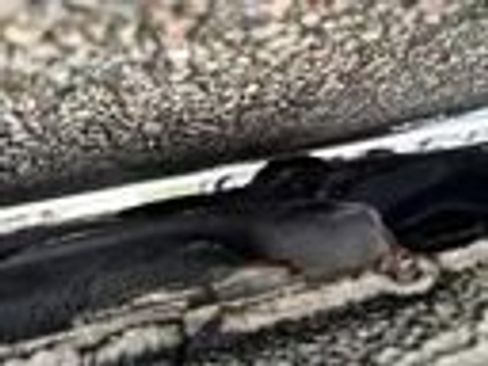 Used 2012 Honda Accord EX-L image 25