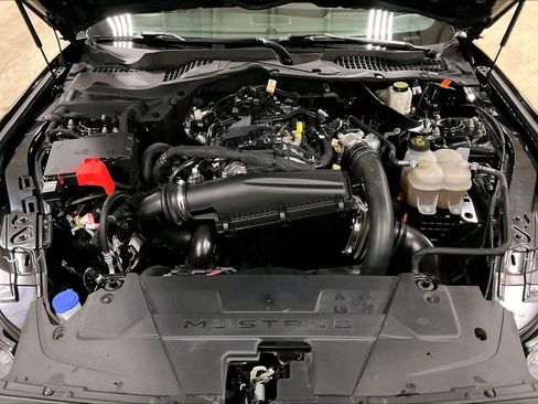 Certified 2024 Ford Mustang Premium image 10