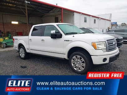Used 2011 Ford F150 Platinum