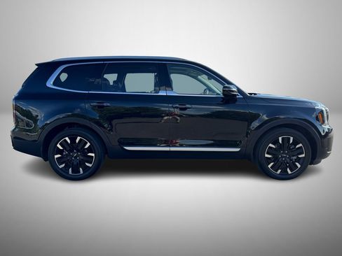 Used 2023 Kia Telluride SX Prestige image 5