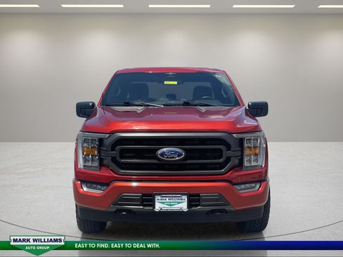 Used 2023 Ford F150 XLT w/ Equipment Group 302A High AWD/4WD image 9