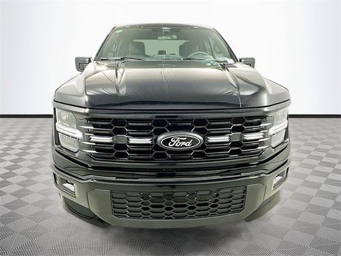 New 2025 Ford F150 STX w/ LOBO Package image 2