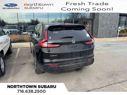 Used 2024 Honda CR-V EX image 3