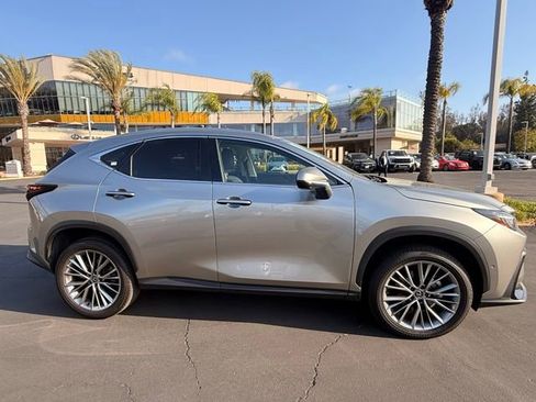 Used 2024 Lexus NX 350h AWD w/ Vision Package image 3
