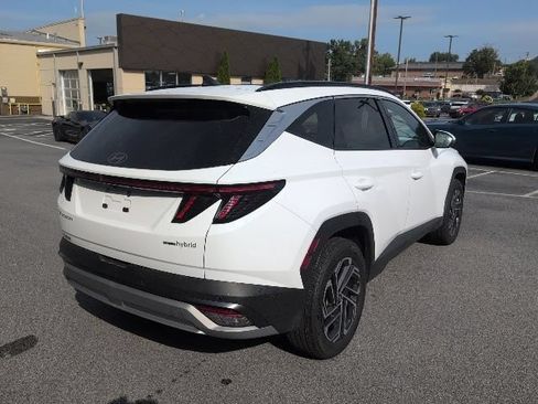 Used 2025 Hyundai Tucson Limited AWD/4WD image 5