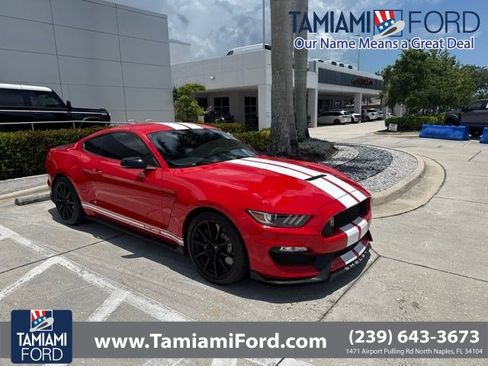 Used 2016 Ford Mustang Shelby GT350 w/ Technology Package RWD image 1