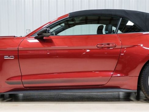 Used 2017 Ford Mustang GT Premium w/ Equipment Group 401A RWD image 2