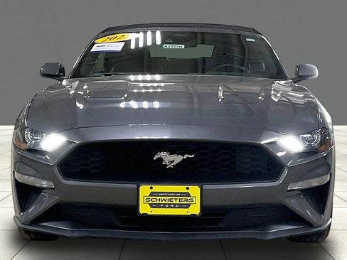 Certified 2023 Ford Mustang Premium image 3