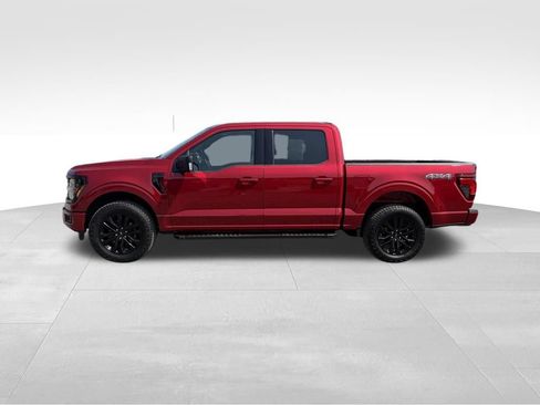 Used 2025 Ford F150 XLT w/ Equipment Group 303A High AWD/4WD image 14