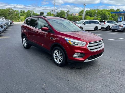 Used 2019 Ford Escape SEL AWD/4WD image 1
