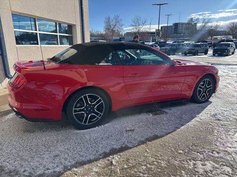 Used 2019 Ford Mustang Premium image 4