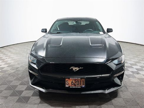 Used 2019 Ford Mustang Coupe w/ Equipment Group 101A image 3