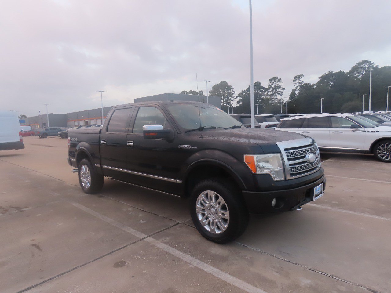Used 2009 Ford F150 Platinum AWD/4WD image 7