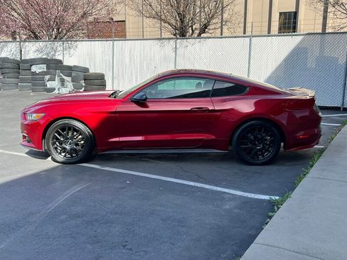 Used 2017 Ford Mustang Coupe image 4