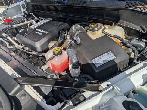 Used 2020 Chevrolet Silverado 1500 LT w/ All-Star Edition image 25