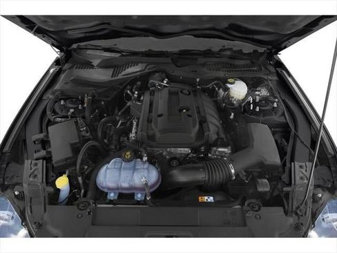 Used 2019 Ford Mustang Coupe w/ Ecoboost Performance Package RWD image 11
