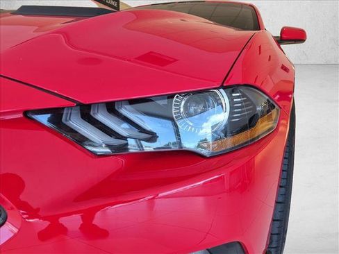 Used 2019 Ford Mustang GT w/ GT Performance Package RWD image 10