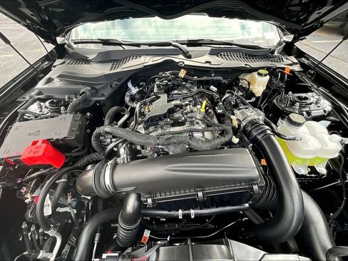 New 2025 Ford Mustang Coupe image 11