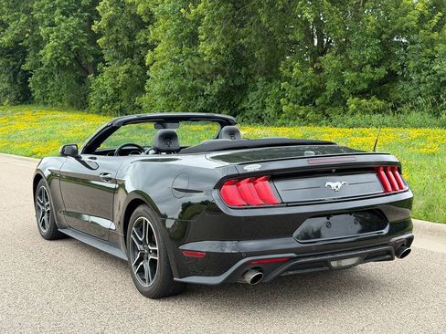 Used 2022 Ford Mustang Premium RWD image 5
