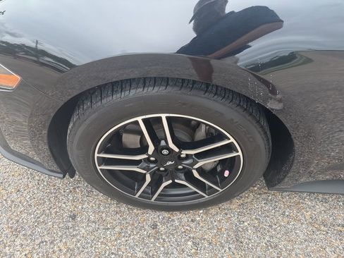 Used 2019 Ford Mustang GT RWD image 22