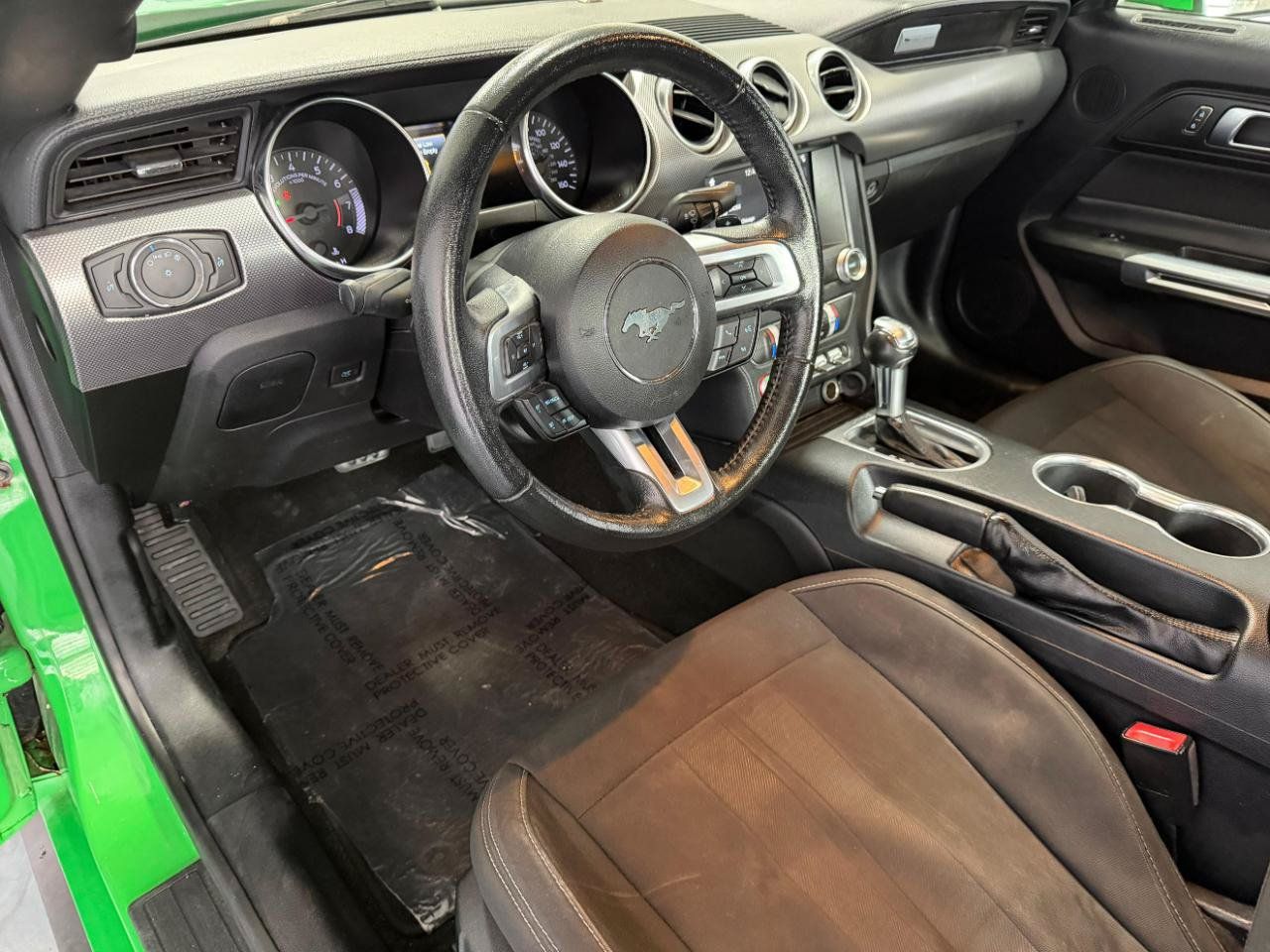 Used 2019 Ford Mustang Coupe w/ Equipment Group 101A RWD image 15