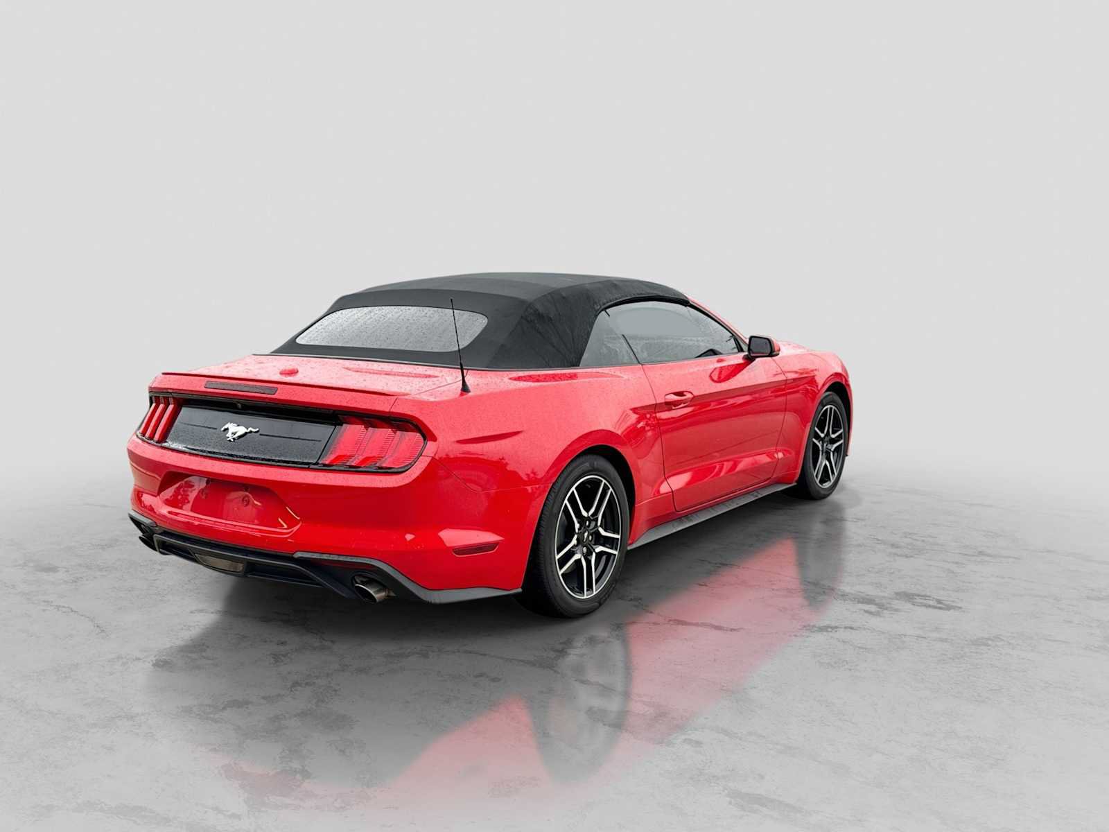 Used 2019 Ford Mustang Premium w/ Equipment Group 201A RWD image 6