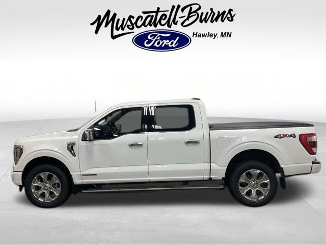 Used 2022 Ford F150 Platinum w/ Equipment Group 701A High AWD/4WD image 4