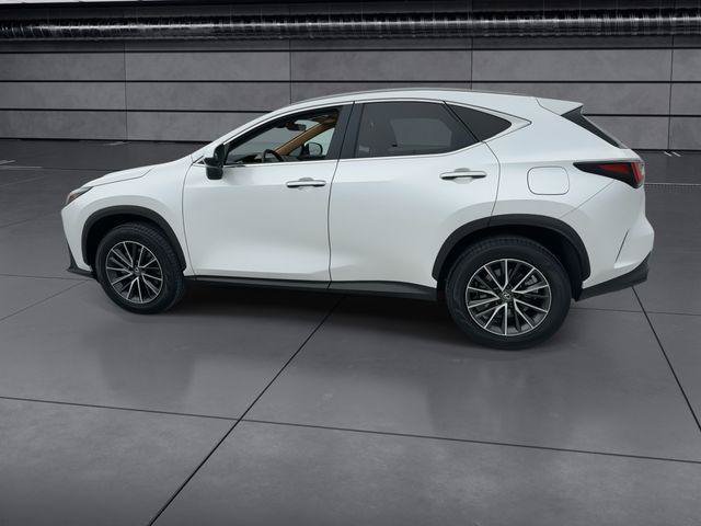 Certified 2024 Lexus NX 350h AWD w/ Cold Area Package image 5