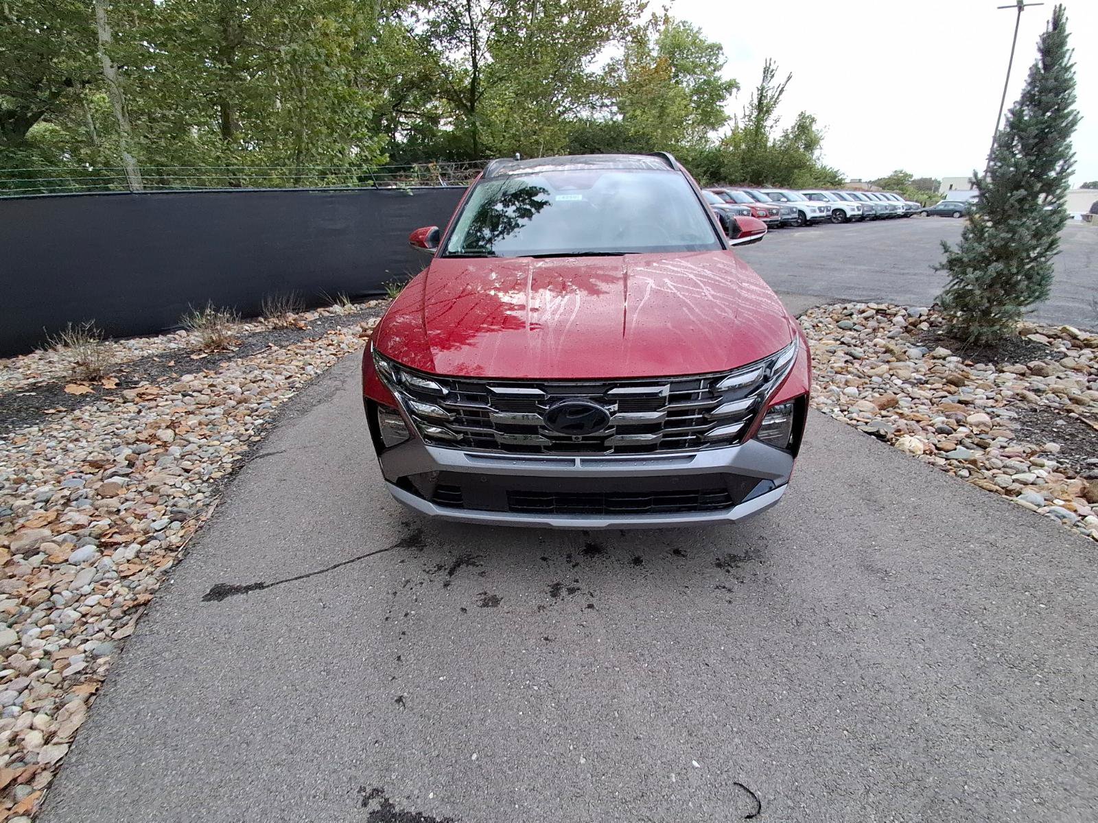 New 2026 Hyundai Tucson Limited AWD/4WD image 8