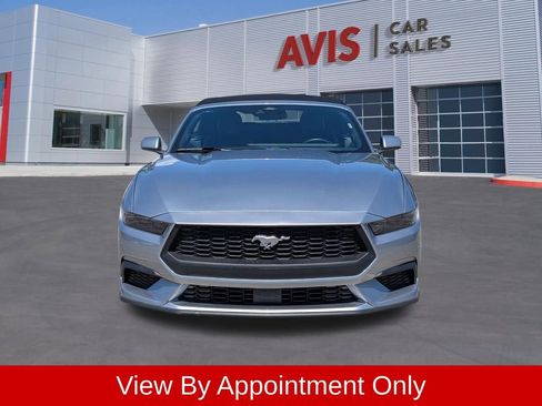 Used 2025 Ford Mustang Premium RWD image 2
