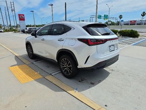 Used 2023 Lexus NX 250 FWD image 6