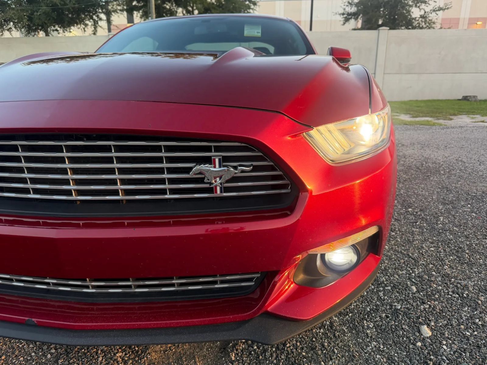 Used 2016 Ford Mustang Premium w/ Equipment Group 201A RWD image 23