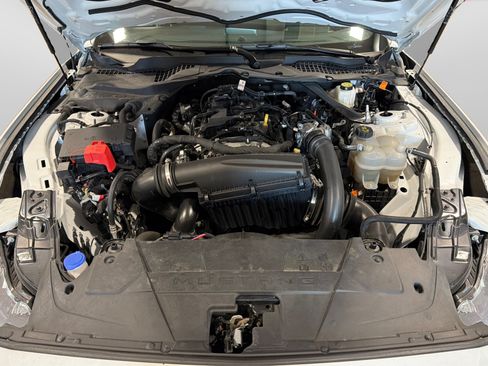 Used 2024 Ford Mustang Premium RWD image 12
