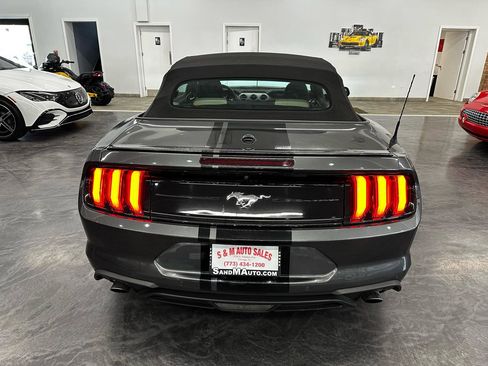 Used 2019 Ford Mustang Convertible w/ Equipment Group 101A image 6